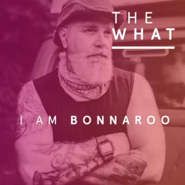 I Am Bonnaroo - The Work of David Bruce