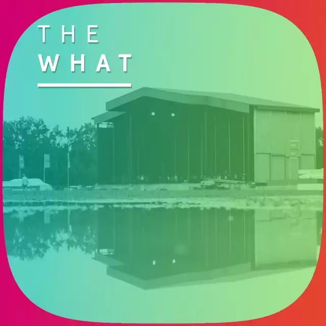 The Aftermath of Bonnaroo's Cancellation on The What Podcast