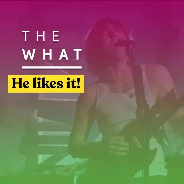 Okay...We Were Wrong About Geese