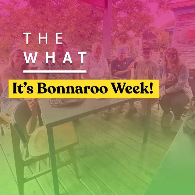 It's Bonnaroo Week! Hype, Stories & Last-Minute Tips